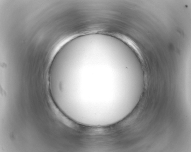 X0000091361431200708101047