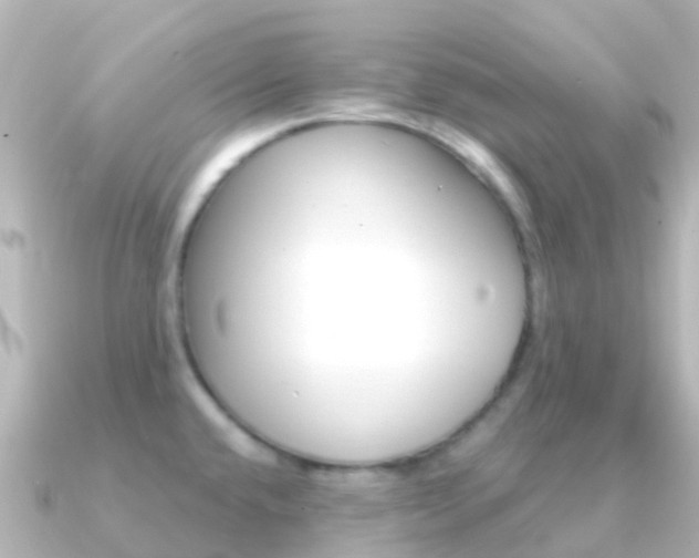 X0000091361432200708101047