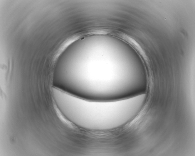 X0000091361433200708101047