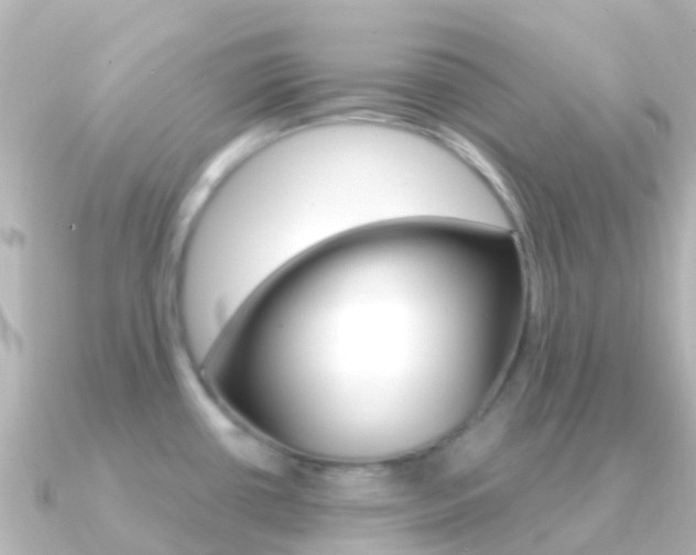 X0000091361434200708101047