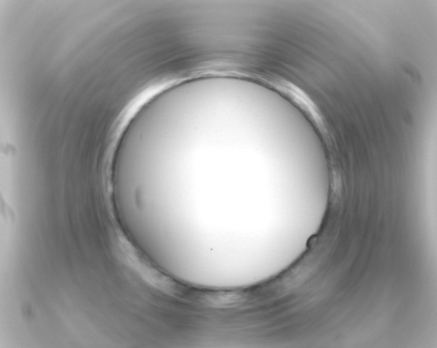 X0000091361435200708101047