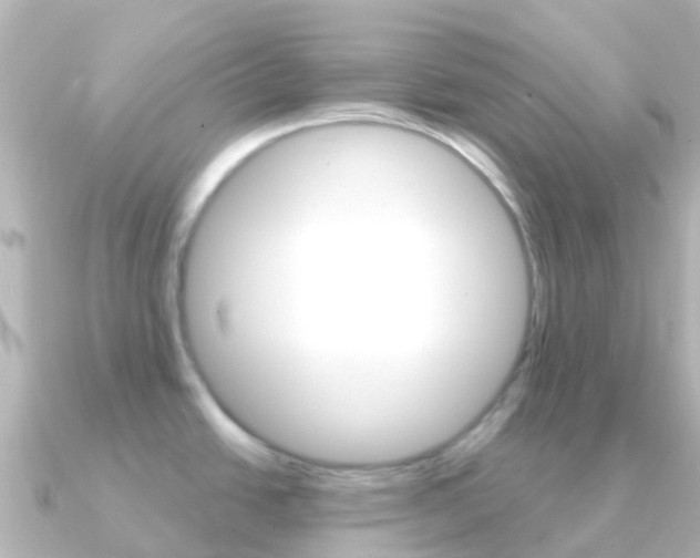 X0000091361438200708101047