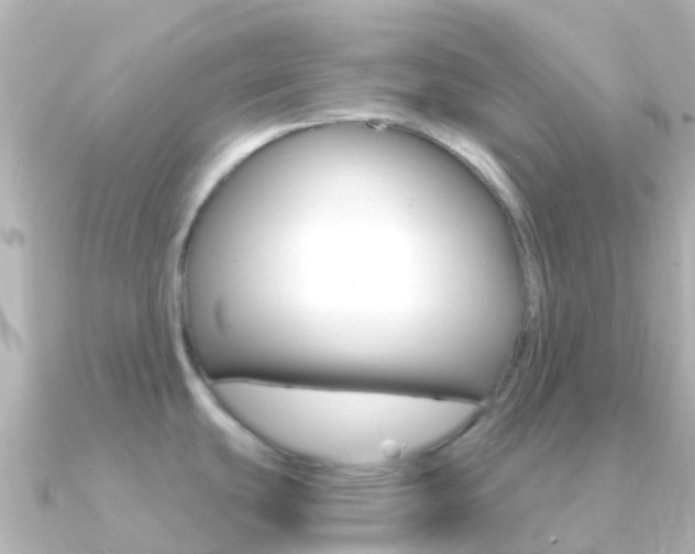 X0000091361439200708101047