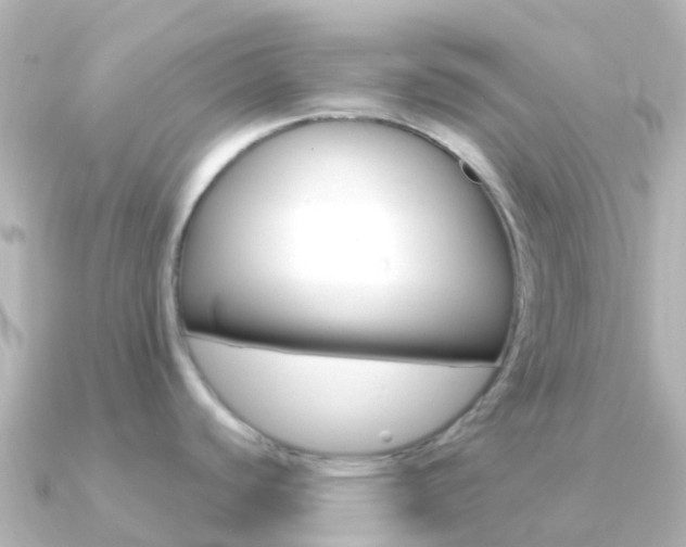 X0000091361440200708101047
