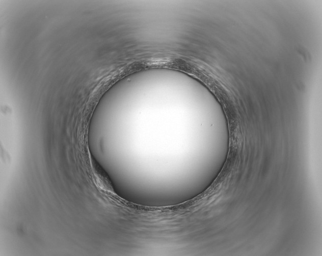 X0000091361441200708101046