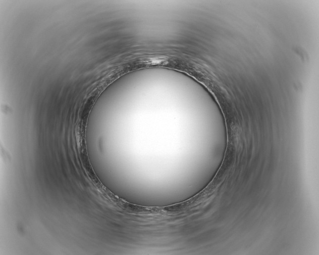 X0000091361442200708101046