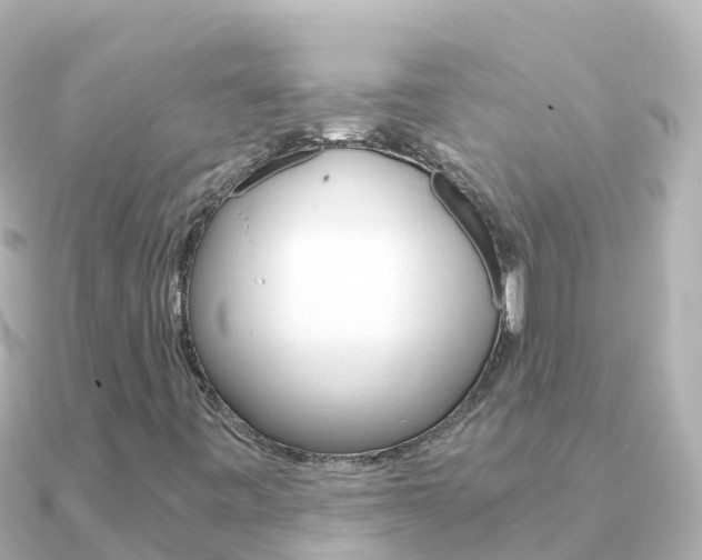X0000091361443200708101046