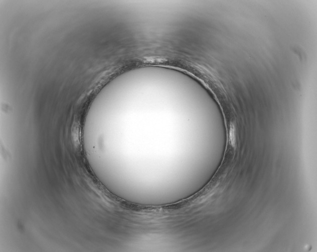 X0000091361444200708101046