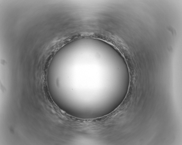 X0000091361445200708101046