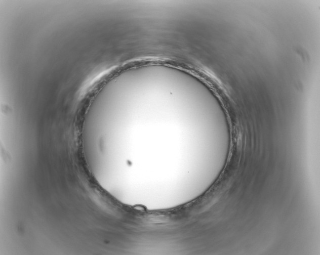 X0000091361448200708101046
