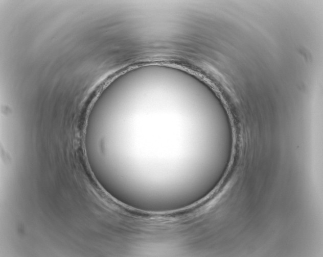 X0000091361449200708101046