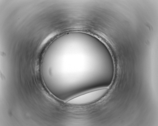 X0000091361450200708101046