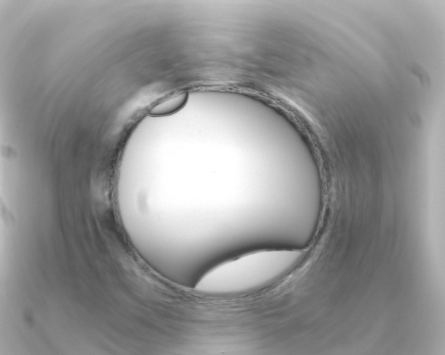 X0000091361451200708101046
