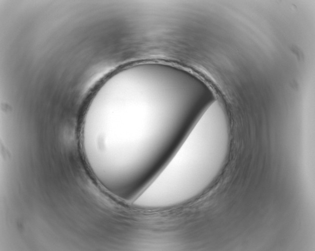 X0000091361452200708101046