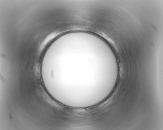 X0000091361454200708101046