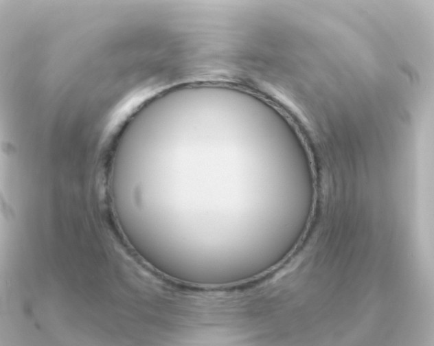X0000091361455200708101046