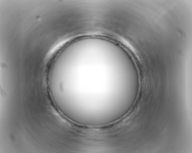 X0000091361456200708101046