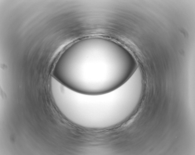 X0000091361457200708101046