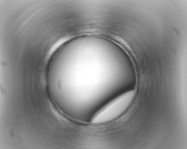 X0000091361458200708101046