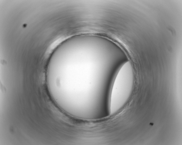X0000091361459200708101046