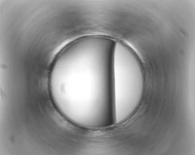 X0000091361460200708101046