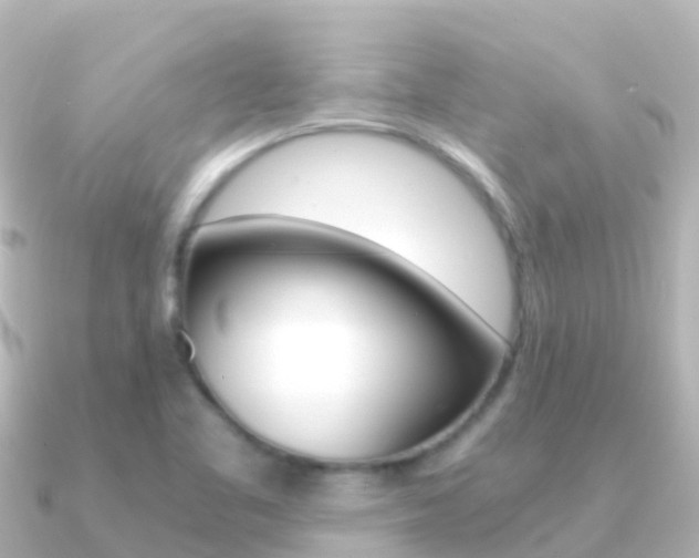 X0000091361461200708101046
