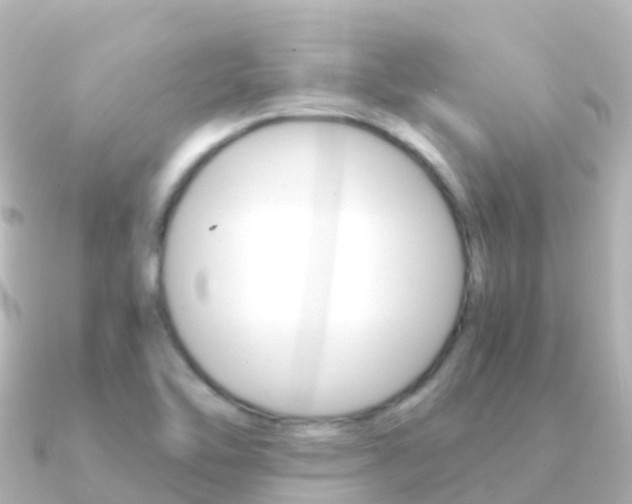 X0000091361462200708101046