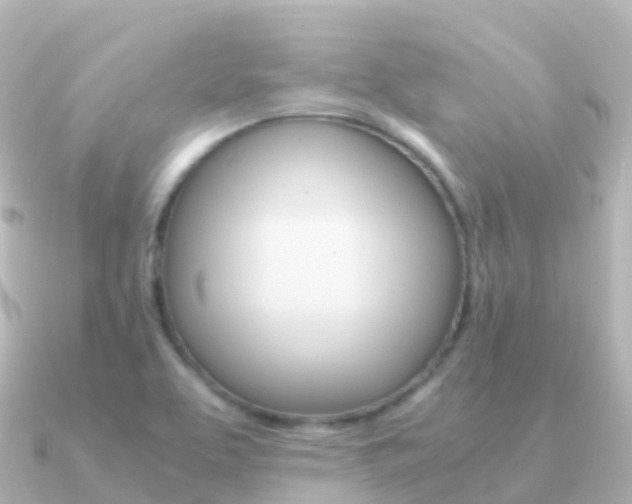 X0000091361463200708101046