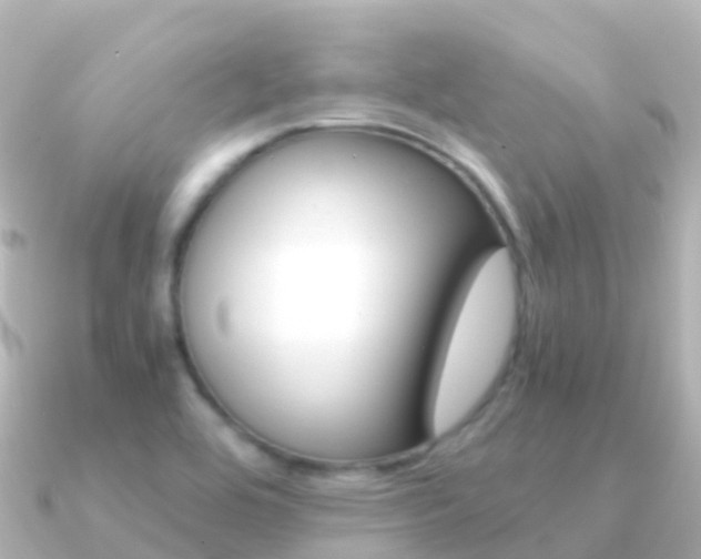X0000091361464200708101046