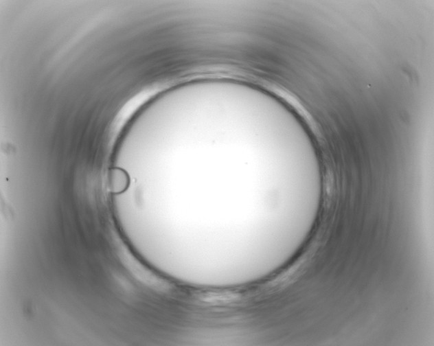 X0000091361466200708101046