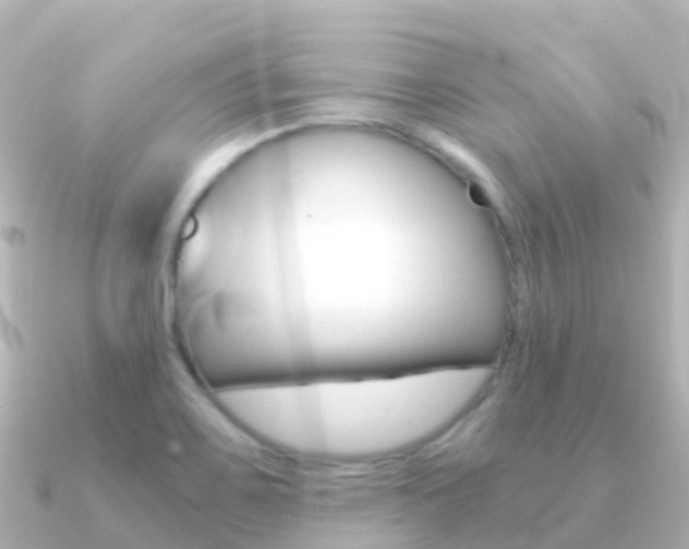 X0000091361467200708101046
