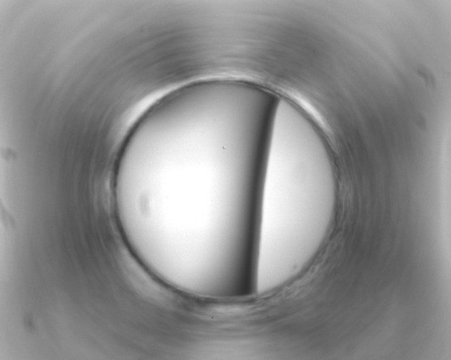 X0000091361468200708101046