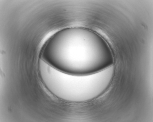 X0000091361469200708101046