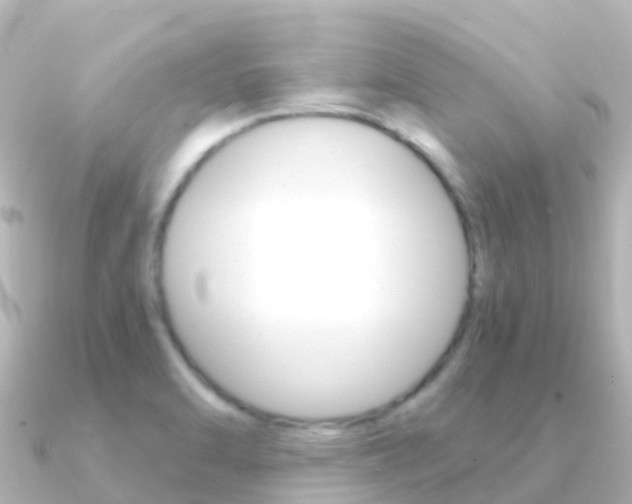 X0000091361470200708101046