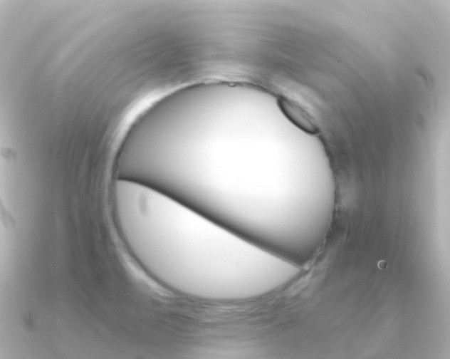 X0000091361471200708101046