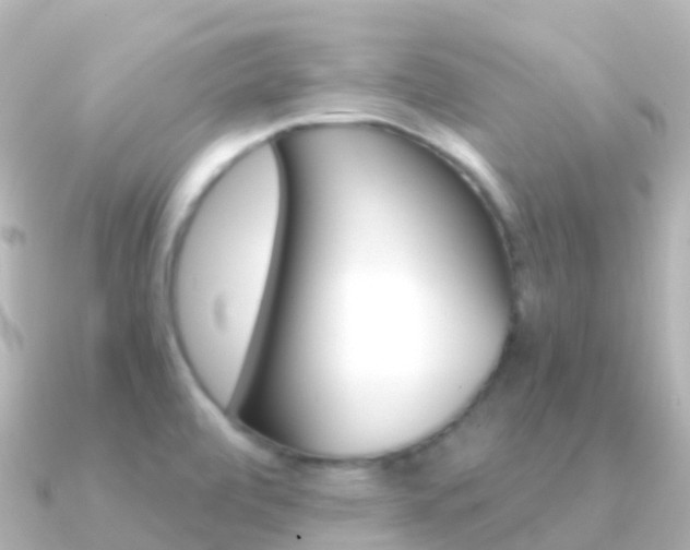 X0000091361472200708101046