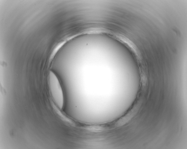 X0000091361473200708101046