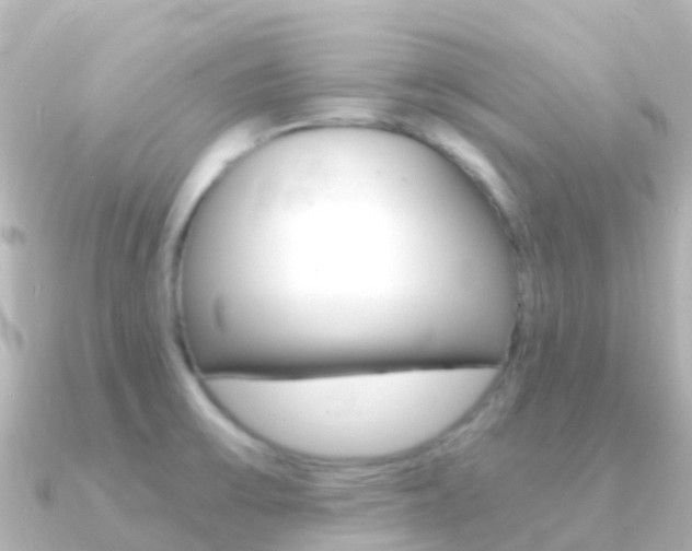 X0000091361475200708101046