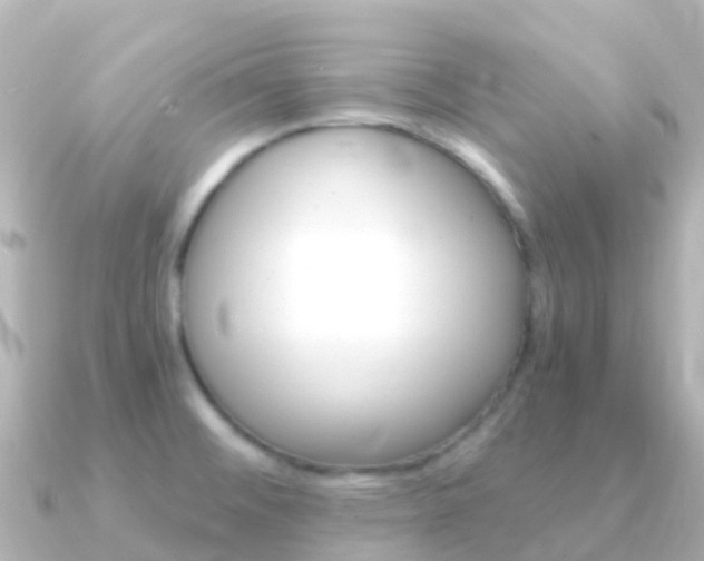 X0000091361476200708101046