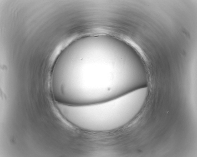 X0000091361477200708101046