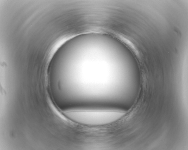 X0000091361479200708101046