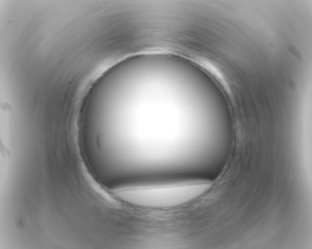 X0000091361480200708101046