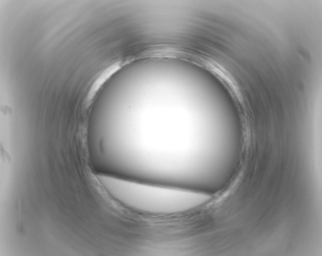 X0000091361481200708101046