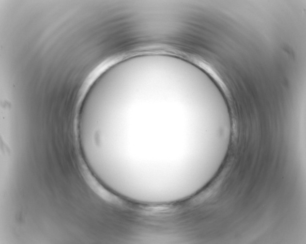 X0000091361482200708101046