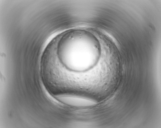 X0000091361483200708101046