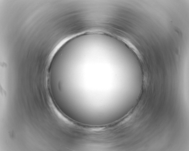 X0000091361484200708101046