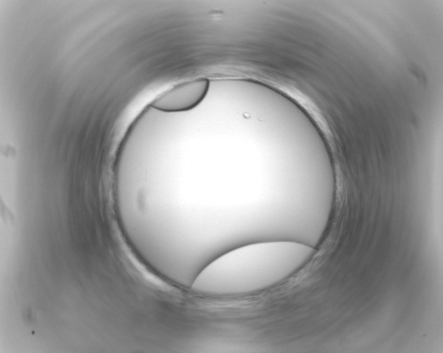 X0000091361486200708101046