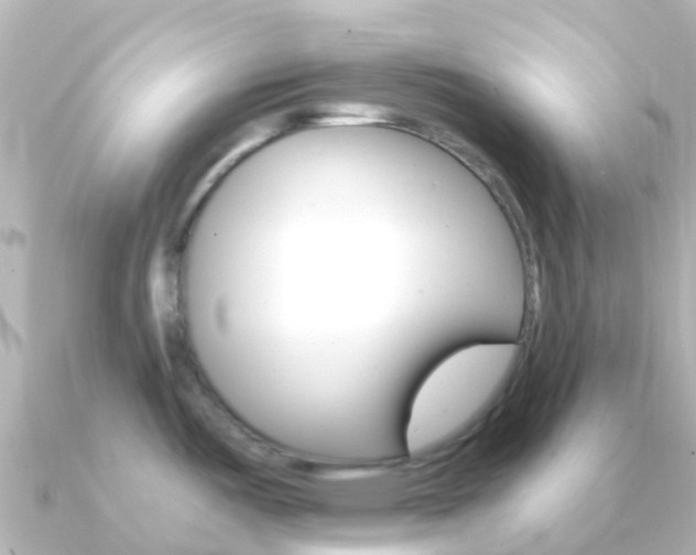 X0000091361487200708101046