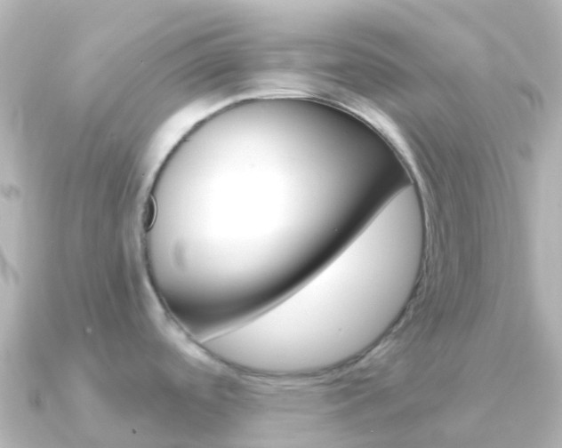 X0000091361488200708101046