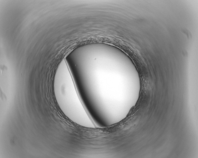 X0000091361489200708101045
